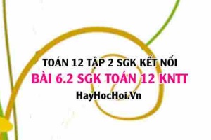 Bài 6.2 SGK Toán 12 tập 2 Kết nối tri thức
